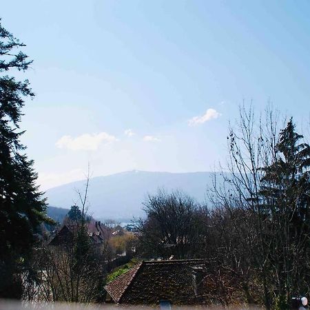 Maison 3 Chambres Au Lac D'Annecy, 30Min La Clusaz Menthon-Saint-Bernard Esterno foto