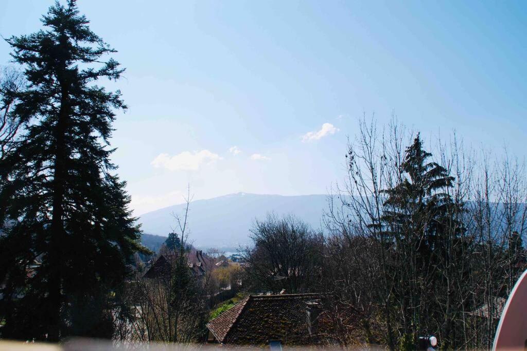 Maison 3 Chambres Au Lac D'Annecy, 30Min La Clusaz Menthon-Saint-Bernard Esterno foto