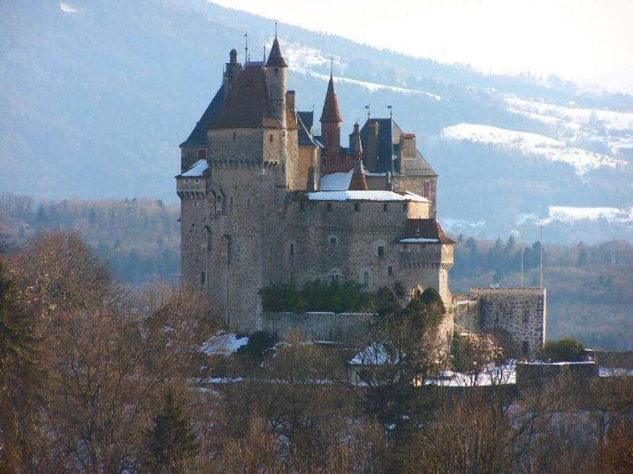 Maison 3 Chambres Au Lac D'Annecy, 30Min La Clusaz Menthon-Saint-Bernard Esterno foto