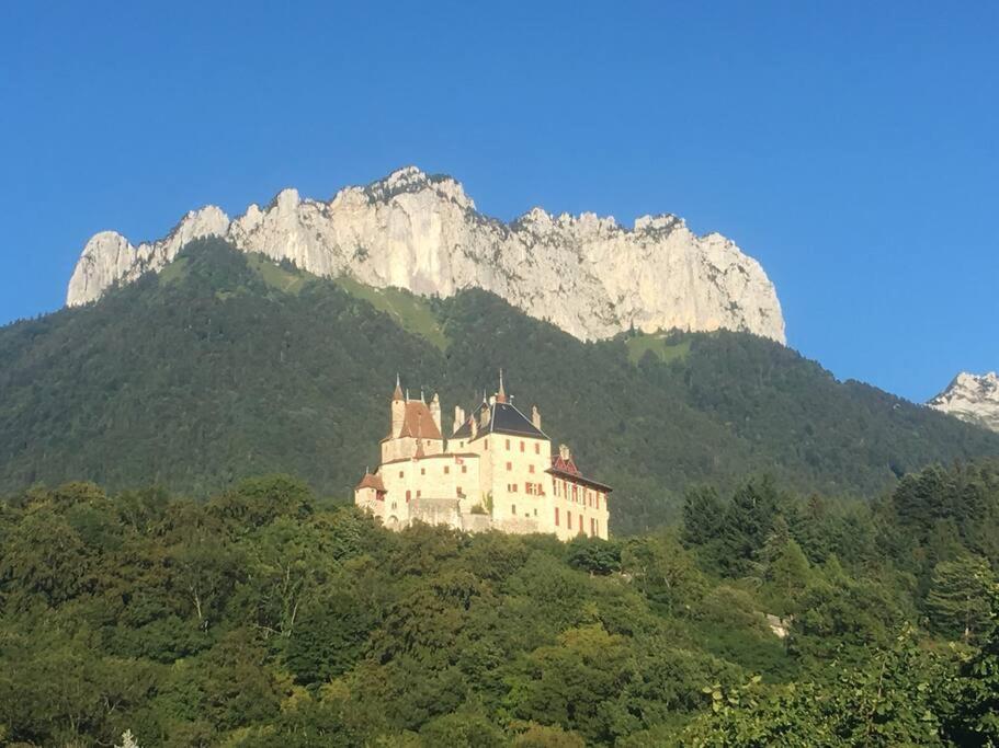Maison 3 Chambres Au Lac D'Annecy, 30Min La Clusaz Menthon-Saint-Bernard Esterno foto